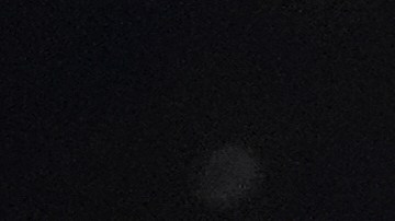 Shakur Stevenson fue superior en todos los aspectos del combate