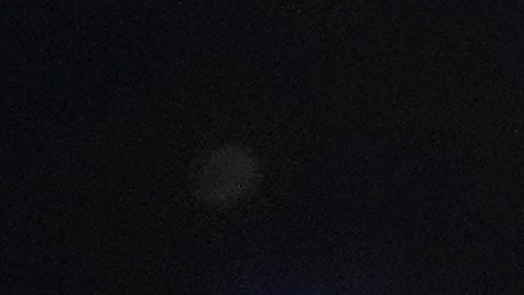 Shakur Stevenson fue superior en todos los aspectos del combate