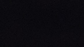 Shakur Stevenson se proclamó campeón recientemente tras vener a Teófimo López