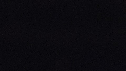 Shakur Stevenson se proclamó campeón recientemente tras vener a Teófimo López