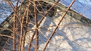 ICE realiza operativos contra cualquier indocumentado.