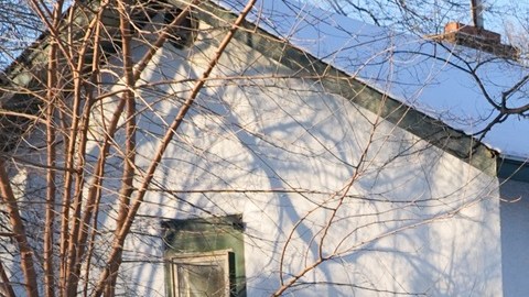 ICE realiza operativos contra cualquier indocumentado.