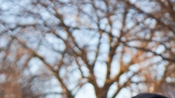 ICE opera con apoyo de agentes de otras fuerzas del orden en EE.UU.