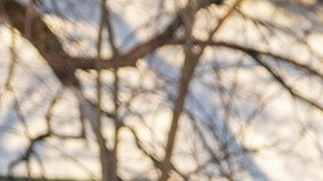 Las operaciones migratorias en Minnesota han desatado preocupaciones.