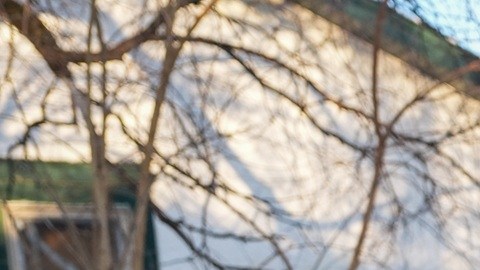 Las operaciones migratorias en Minnesota han desatado preocupaciones.