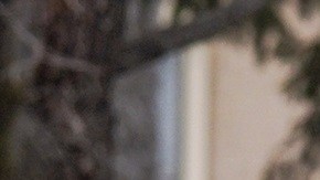 La forma en que se realizaron operaciones migratorias en Minnesota desataron presiones del Congreso al DHS.