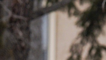 La forma en que se realizaron operaciones migratorias en Minnesota desataron presiones del Congreso al DHS.