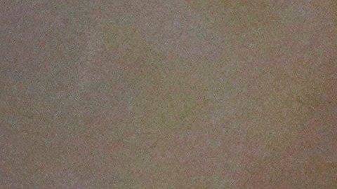 Trump insiste en que las elecciones en EE.UU. están "amañadas" y son "fraudulentas"