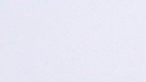 La FAA abrió una investigación y el hombre fue detenido por la policía.