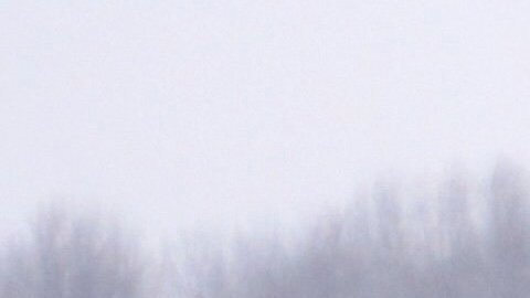 La FAA abrió una investigación y el hombre fue detenido por la policía.