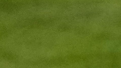 Christian González en una de sus múltiples intervenciones para evitar recepciones de los Seahawks.