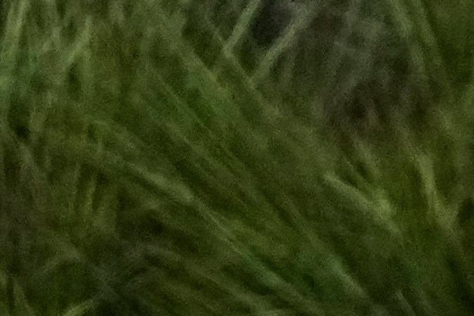 Sheinbaum considera "muy interesante" la actuación de Bad Bunny en el Super Bowl