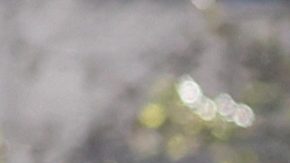 Jugadores de los Seahawks de Seattle festejan en la parte alta de un autobús durante el desfile para celebrar el título del Super Bowl en Seattle el miércoles.