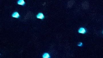 Miami Heat forward Keshad Johnson dunks during the slam dunk contest at the NBA basketball All-Star weekend festivities Saturday, Feb. 14, 2026, in Inglewood, Calif. (AP Photo/Mark J. Terrill)