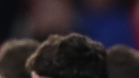 En el partido tuvo que activarse el protocolo en contra del racismo.