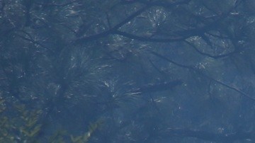 Soldados montan guardia en Cointzio, Michoacán, México, el domingo 22 de febrero de 2026, tras la muerte del líder del Cártel Jalisco Nueva Generación, Nemesio Oseguera Cervantes, "El Mencho".