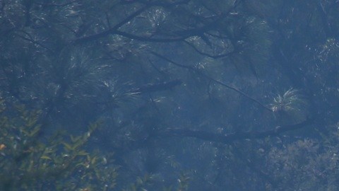 Soldados montan guardia en Cointzio, Michoacán, México, el domingo 22 de febrero de 2026, tras la muerte del líder del Cártel Jalisco Nueva Generación, Nemesio Oseguera Cervantes, "El Mencho".