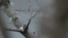 Las autoridades investigan la relación entre las víctimas y el sospechoso.