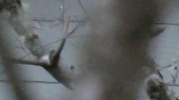 Las autoridades investigan la relación entre las víctimas y el sospechoso.