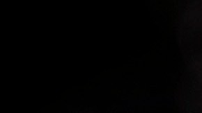 Ronda Rousey volverá a las jaulas, pero no lo hará con UFC