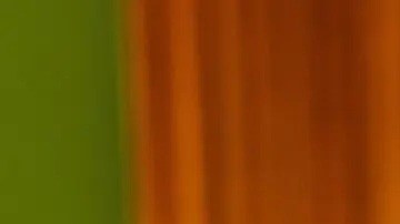 Denise Powell es  candidata demócrata al Congreso por Distrito 02 de Nebraska.