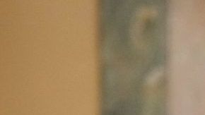 Abigail Spanberger le puso un alto a Ice en Virginia.