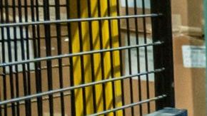 Caleb Vitello y Todd Lyons hablan con la prensa sobre el programa de formación que siguen los agentes del ICE