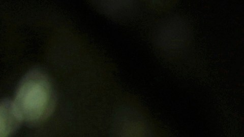 U.S. Customs and Border Protection officers patrol near the Lincoln Memorial, Monday, Aug. 25, 2025, in Washington. (AP Photo/Rahmat Gul)
