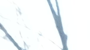 A protester is detained by Federal agents near the scene where Renee Good was fatally shot by an ICE officer last week, Tuesday, Jan. 13, 2026, in Minneapolis.(AP Photo/Adam Gray)