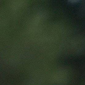 Federal agents leave the U.S. Immigration and Customs Enforcement (ICE) building Wednesday, Sept. 24, 2025, in Broadview, Ill. (AP Photo/Erin Hooley)