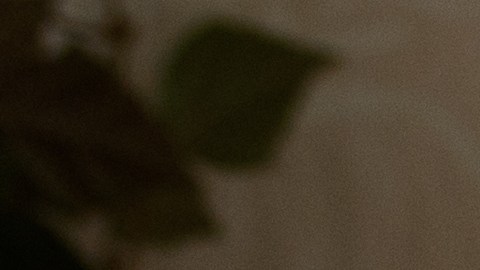 Ahorros y costos ocultos de jubilación