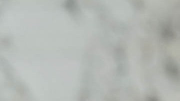 Alex Padilla, senador por California