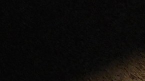 Un juez federal se negó a obligar a los funcionarios federales a preservar todas las pruebas.