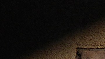 Un juez federal se negó a obligar a los funcionarios federales a preservar todas las pruebas.