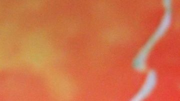 Luis Carlos Origel Andrea Legarreta boda