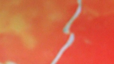 Luis Carlos Origel Andrea Legarreta boda