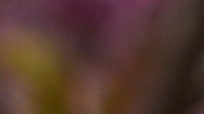 Andrés de Inglaterra es detenido por sus vínculos en el caso Epstein.