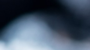 Retiran arándanos congelados en varios estados, la FDA advierte sobre serias consecuencias