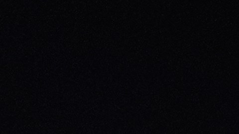 Todos los artistas del Super Bowl 2026: Bad Bunny, Green Day, Coco Jones y más