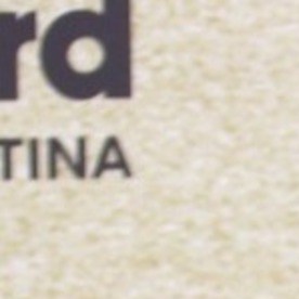 Gabriela Berlingeri reaparece con Bad Bunny y desata la especulación en el Super Bowl