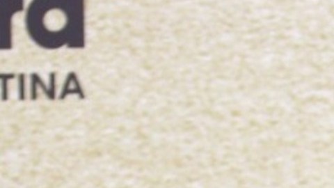 Gabriela Berlingeri reaparece con Bad Bunny y desata la especulación en el Super Bowl