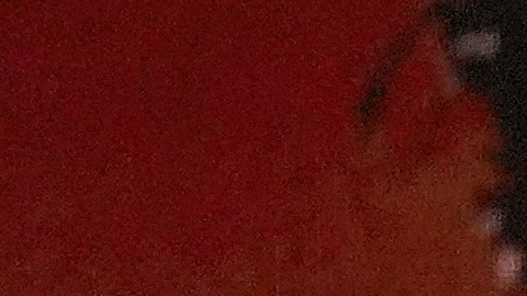 Bad Bunny recibió el Grammy a Álbum del Año.