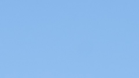 Bahama Breeze anunció el cierre de todos los restaurantes