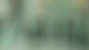 Estos alimentos comunes se vinculan a un menor coeficiente intelectual en los niños