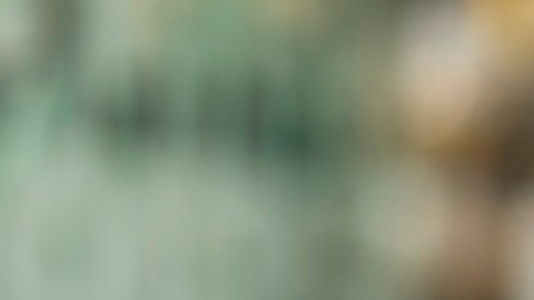 Estos alimentos comunes se vinculan a un menor coeficiente intelectual en los niños