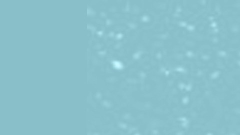 Beneficio máximo de Seguro Social