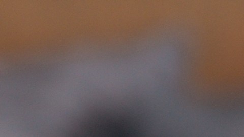 Beneficios de sobrevivientes del Seguro Social