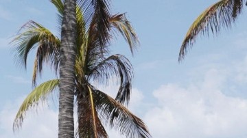 Bloqueos en Puerto Vallarta