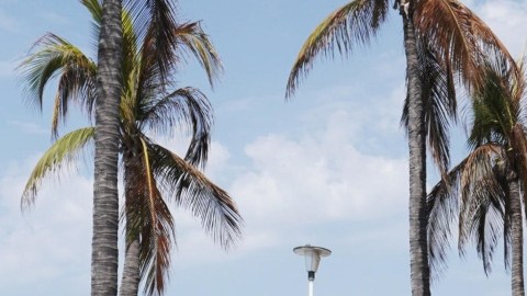 Bloqueos en Puerto Vallarta