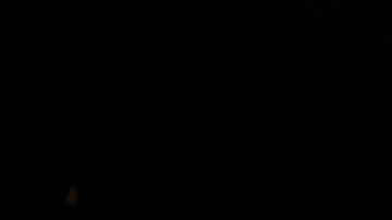 Reportes revelan que Brooklyn Beckham y Nicola Peltz contemplan adoptar un niño